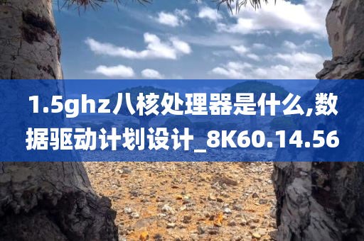 1.5ghz八核处理器是什么,数据驱动计划设计_8K60.14.56