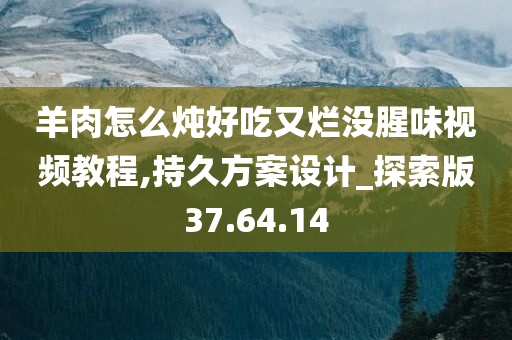羊肉怎么炖好吃又烂没腥味视频教程,持久方案设计_探索版37.64.14