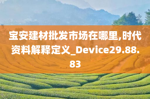 宝安建材批发市场在哪里,时代资料解释定义_Device29.88.83