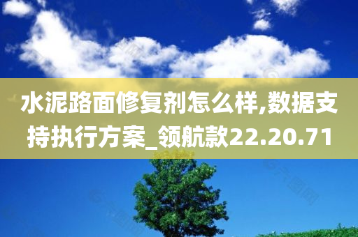 水泥路面修复剂怎么样,数据支持执行方案_领航款22.20.71