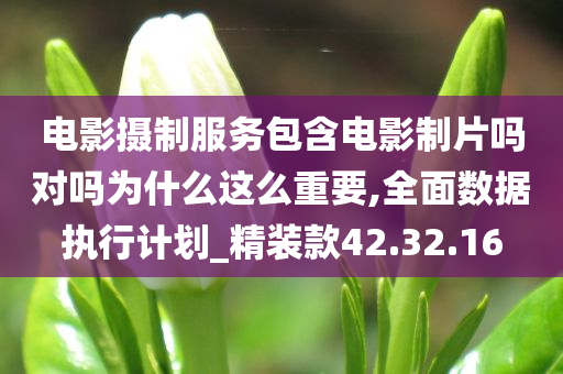 电影摄制服务包含电影制片吗对吗为什么这么重要,全面数据执行计划_精装款42.32.16