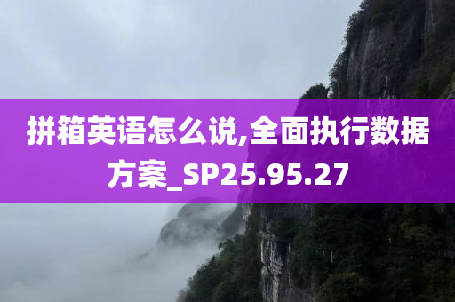 拼箱英语怎么说,全面执行数据方案_SP25.95.27