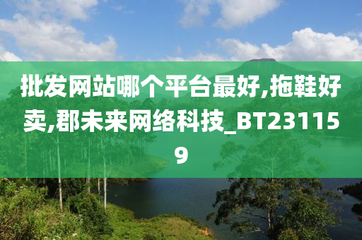 批发网站哪个平台最好,拖鞋好卖,郡未来网络科技_BT231159