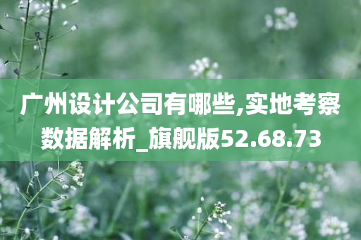 广州设计公司有哪些,实地考察数据解析_旗舰版52.68.73