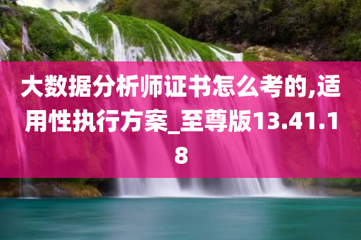 大数据分析师证书怎么考的,适用性执行方案_至尊版13.41.18