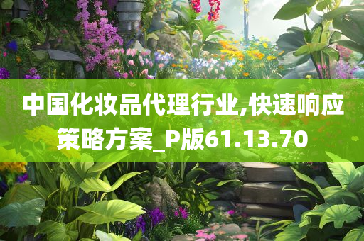 中国化妆品代理行业,快速响应策略方案_P版61.13.70