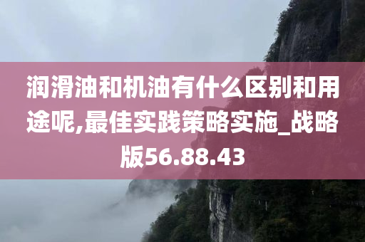 润滑油和机油有什么区别和用途呢,最佳实践策略实施_战略版56.88.43