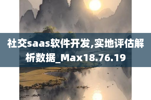 社交saas软件开发,实地评估解析数据_Max18.76.19