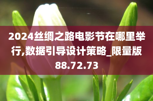 2024丝绸之路电影节在哪里举行,数据引导设计策略_限量版88.72.73