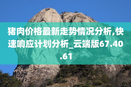 猪肉价格最新走势情况分析,快速响应计划分析_云端版67.40.61