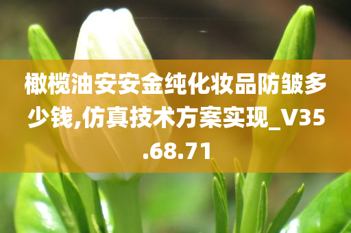 橄榄油安安金纯化妆品防皱多少钱,仿真技术方案实现_V35.68.71