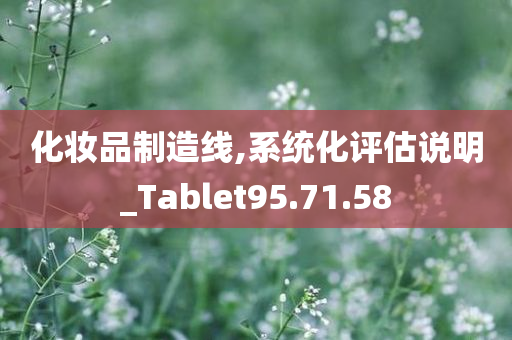 化妆品制造线,系统化评估说明_Tablet95.71.58