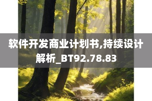 软件开发商业计划书,持续设计解析_BT92.78.83