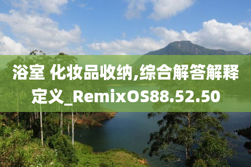 浴室 化妆品收纳,综合解答解释定义_RemixOS88.52.50