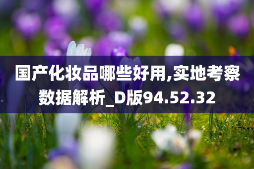 国产化妆品哪些好用,实地考察数据解析_D版94.52.32