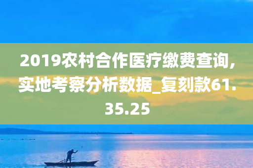 2019农村合作医疗缴费查询,实地考察分析数据_复刻款61.35.25