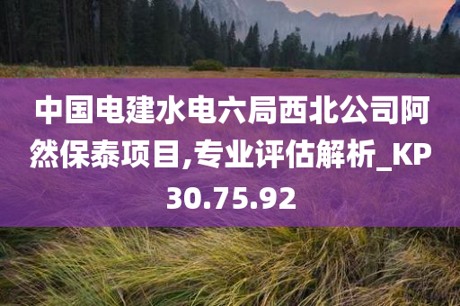 中国电建水电六局西北公司阿然保泰项目,专业评估解析_KP30.75.92