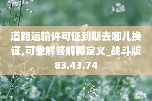 道路运输许可证到期去哪儿换证,可靠解答解释定义_战斗版83.43.74