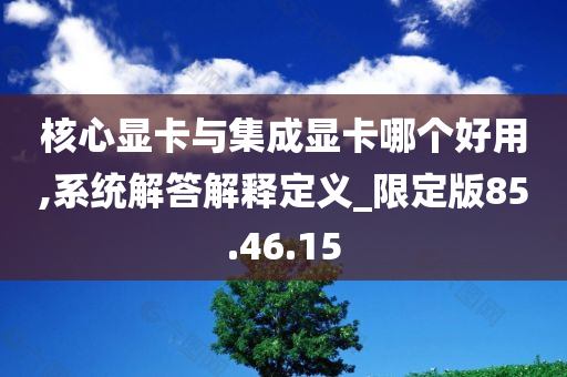 核心显卡与集成显卡哪个好用,系统解答解释定义_限定版85.46.15