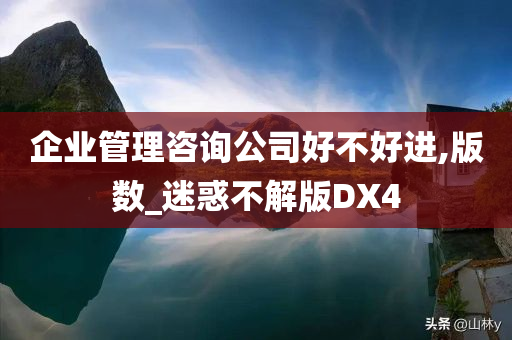 企业管理咨询公司好不好进,版数_迷惑不解版DX4