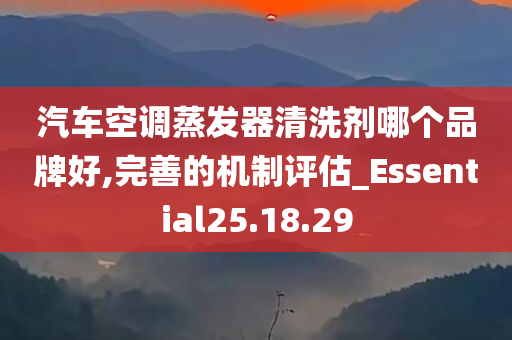 汽车空调蒸发器清洗剂哪个品牌好,完善的机制评估_Essential25.18.29