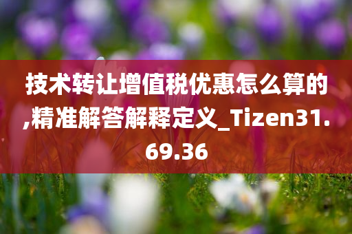 技术转让增值税优惠怎么算的,精准解答解释定义_Tizen31.69.36