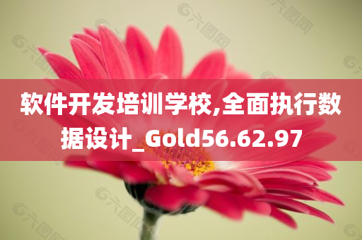 软件开发培训学校,全面执行数据设计_Gold56.62.97