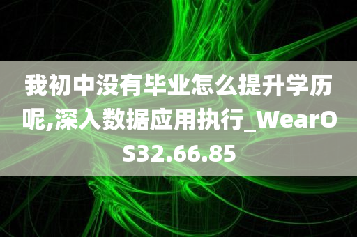 我初中没有毕业怎么提升学历呢,深入数据应用执行_WearOS32.66.85