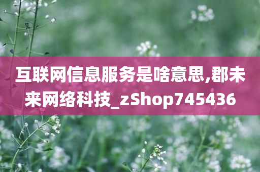 互联网信息服务是啥意思,郡未来网络科技_zShop745436