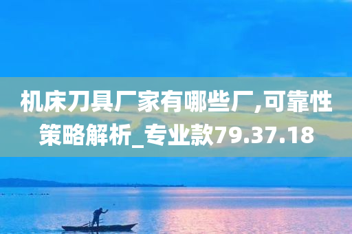 机床刀具厂家有哪些厂,可靠性策略解析_专业款79.37.18