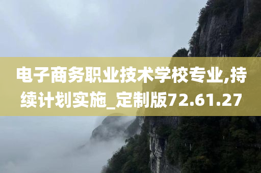 电子商务职业技术学校专业,持续计划实施_定制版72.61.27