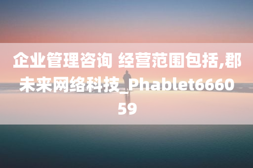 企业管理咨询 经营范围包括,郡未来网络科技_Phablet666059