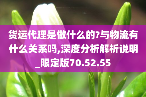 货运代理是做什么的?与物流有什么关系吗,深度分析解析说明_限定版70.52.55