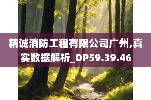 精诚消防工程有限公司广州,真实数据解析_DP59.39.46