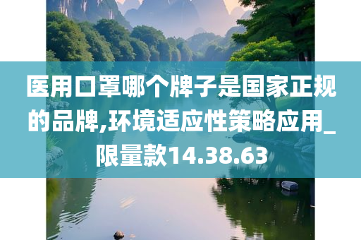 医用口罩哪个牌子是国家正规的品牌,环境适应性策略应用_限量款14.38.63