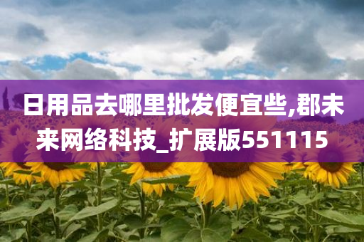 日用品去哪里批发便宜些,郡未来网络科技_扩展版551115