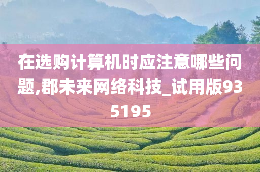 在选购计算机时应注意哪些问题,郡未来网络科技_试用版935195