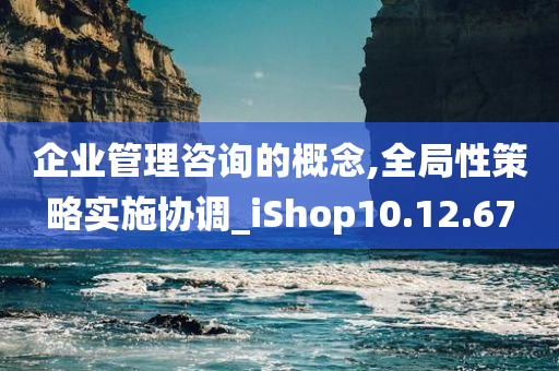 企业管理咨询的概念,全局性策略实施协调_iShop10.12.67