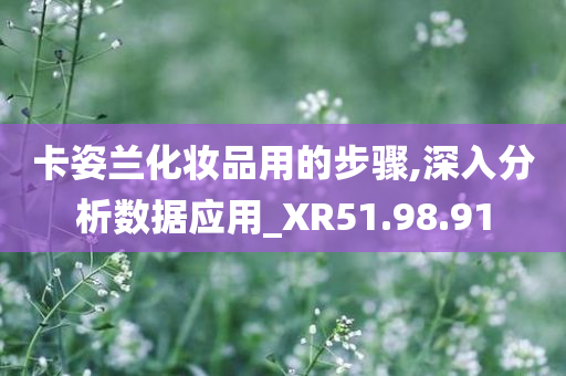 卡姿兰化妆品用的步骤,深入分析数据应用_XR51.98.91