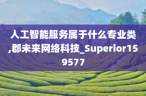 人工智能服务属于什么专业类,郡未来网络科技_Superior159577