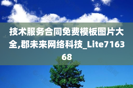 技术服务合同免费模板图片大全,郡未来网络科技_Lite716368