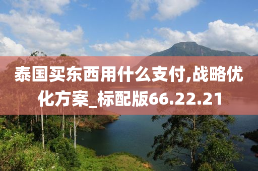 泰国买东西用什么支付,战略优化方案_标配版66.22.21