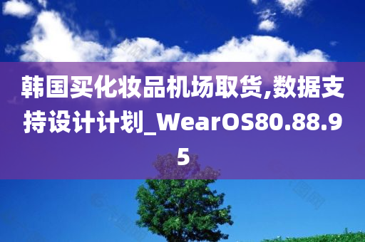 韩国买化妆品机场取货,数据支持设计计划_WearOS80.88.95