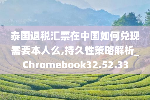 泰国退税汇票在中国如何兑现需要本人么,持久性策略解析_Chromebook32.52.33