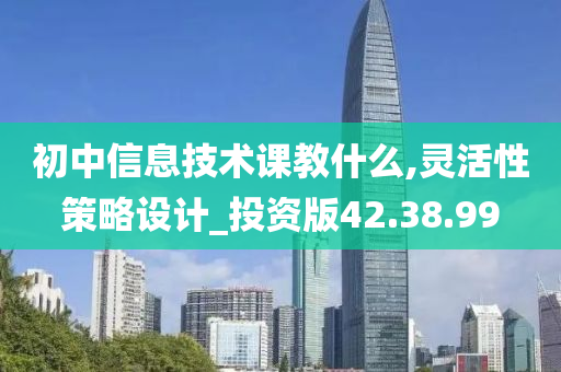 初中信息技术课教什么,灵活性策略设计_投资版42.38.99