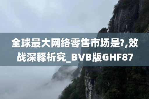 全球最大网络零售市场是?,效战深释析究_BVB版GHF87