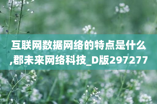 互联网数据网络的特点是什么,郡未来网络科技_D版297277