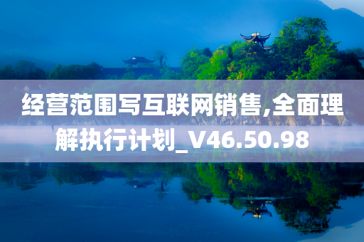 经营范围写互联网销售,全面理解执行计划_V46.50.98