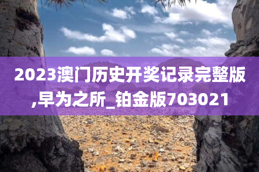 2023澳门历史开奖记录完整版,早为之所_铂金版703021