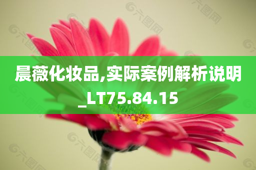 晨薇化妆品,实际案例解析说明_LT75.84.15